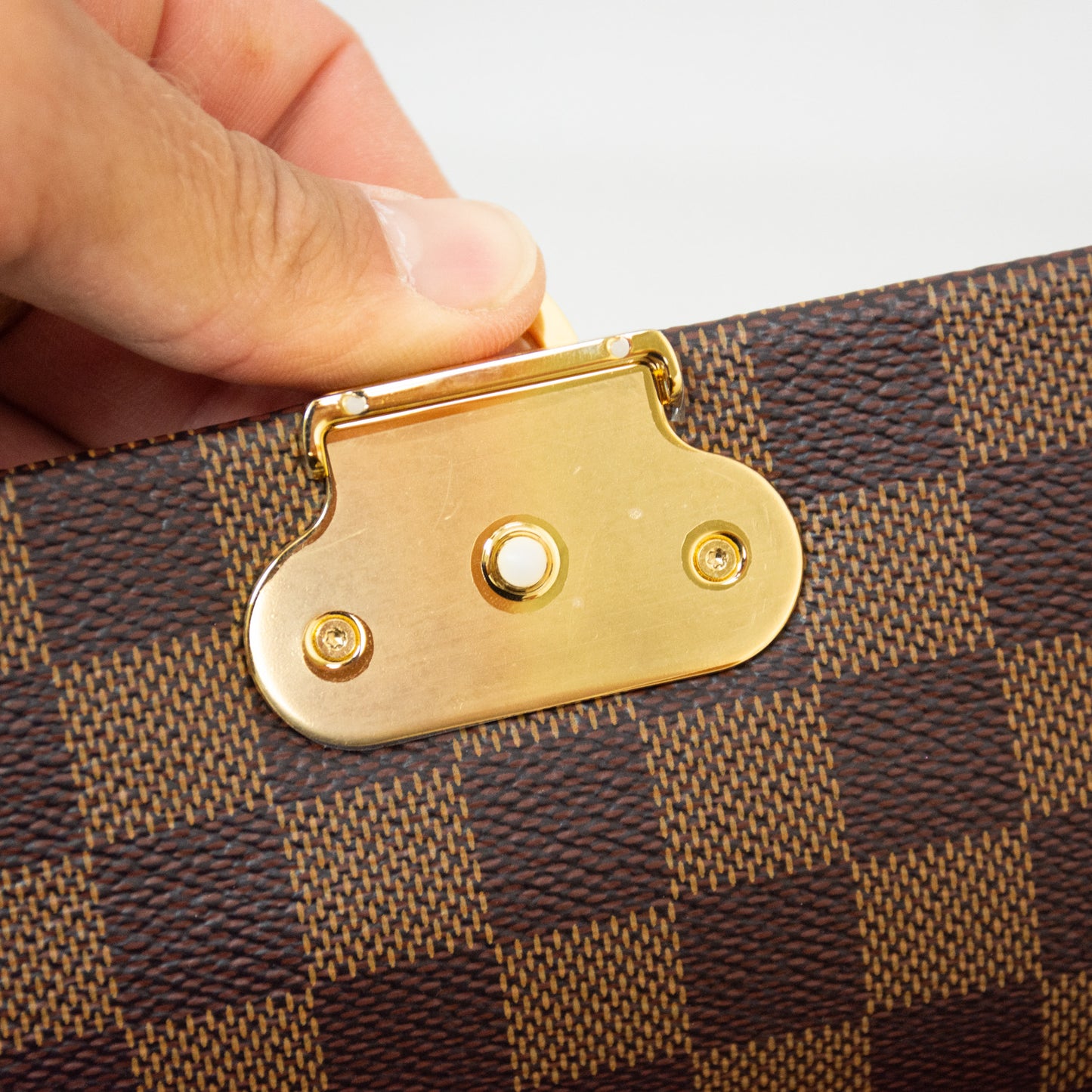 Louis Vuitton Vavin PM w/ Python Leather - N96947