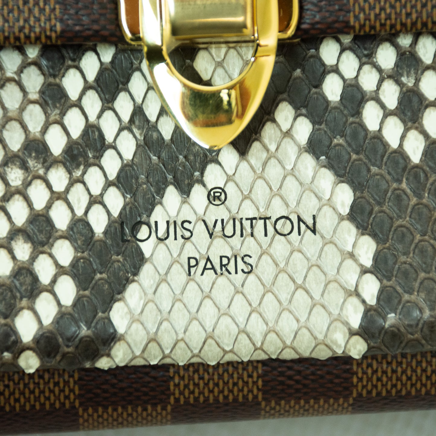 Louis Vuitton Vavin PM w/ Python Leather - N96947